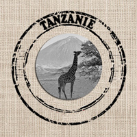 CAFE VERT | Tanzanie Kilimandjaro - 1 Kg